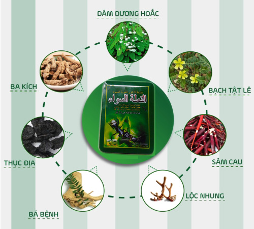Thuốc chữa yếu sinh lý đàn ông Kiến Thái Thuốc cường dương Kiến Thái